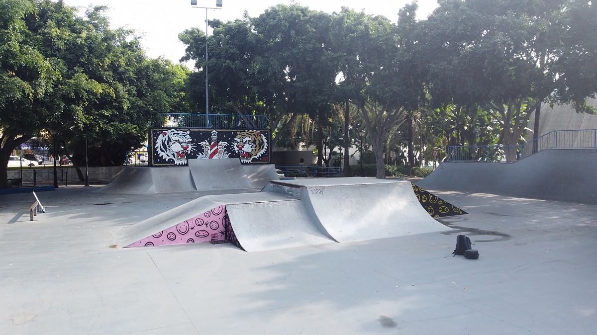 Monopatines skatepark